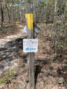 Sign directing to Youngblood Campsite